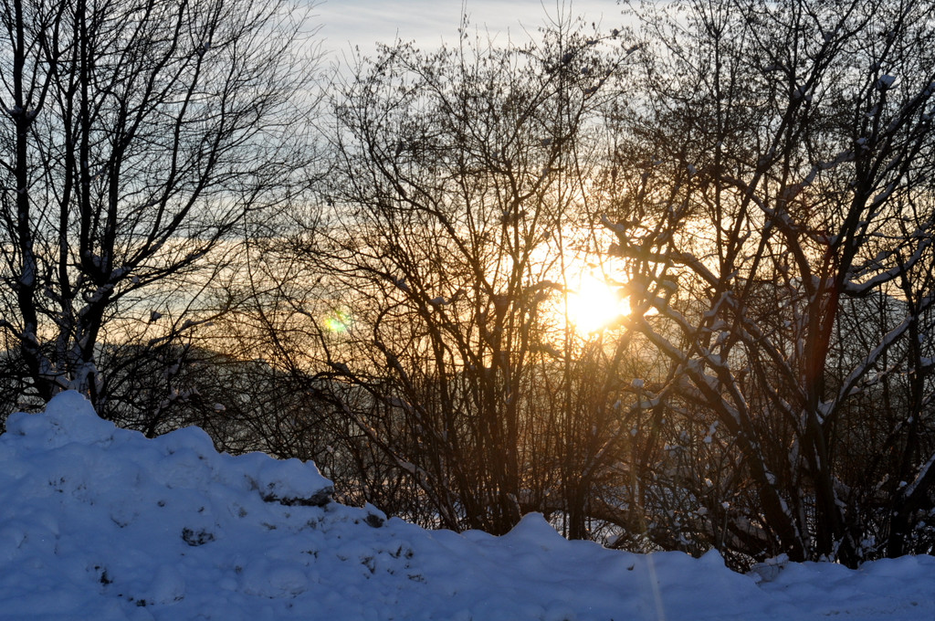 Winterbilder Altach 072.JPG