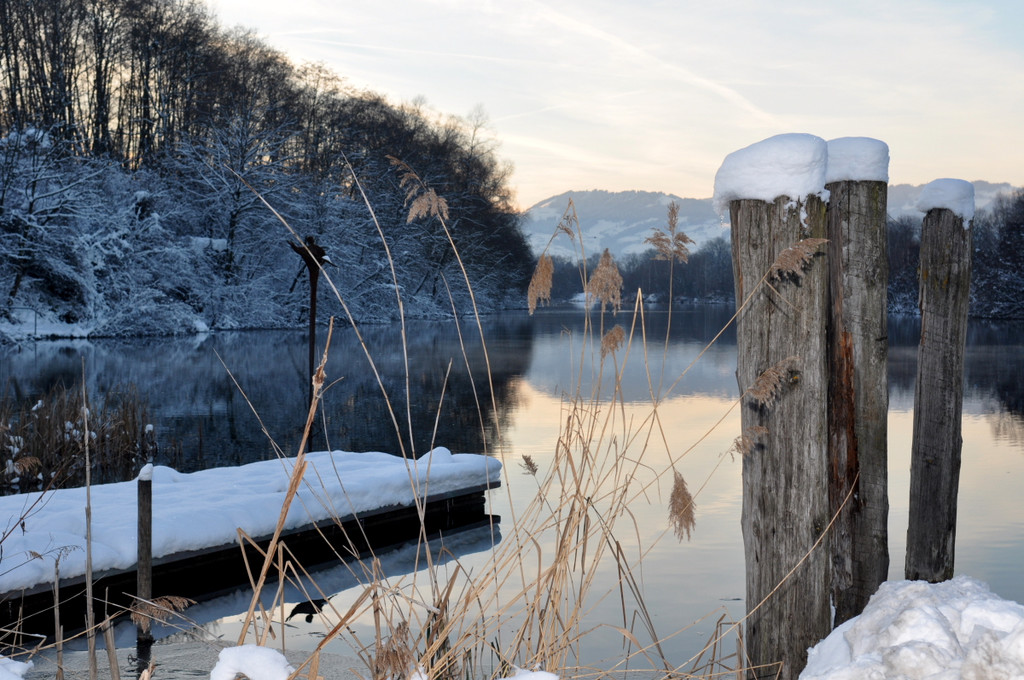 Winterbilder Altach 079.JPG