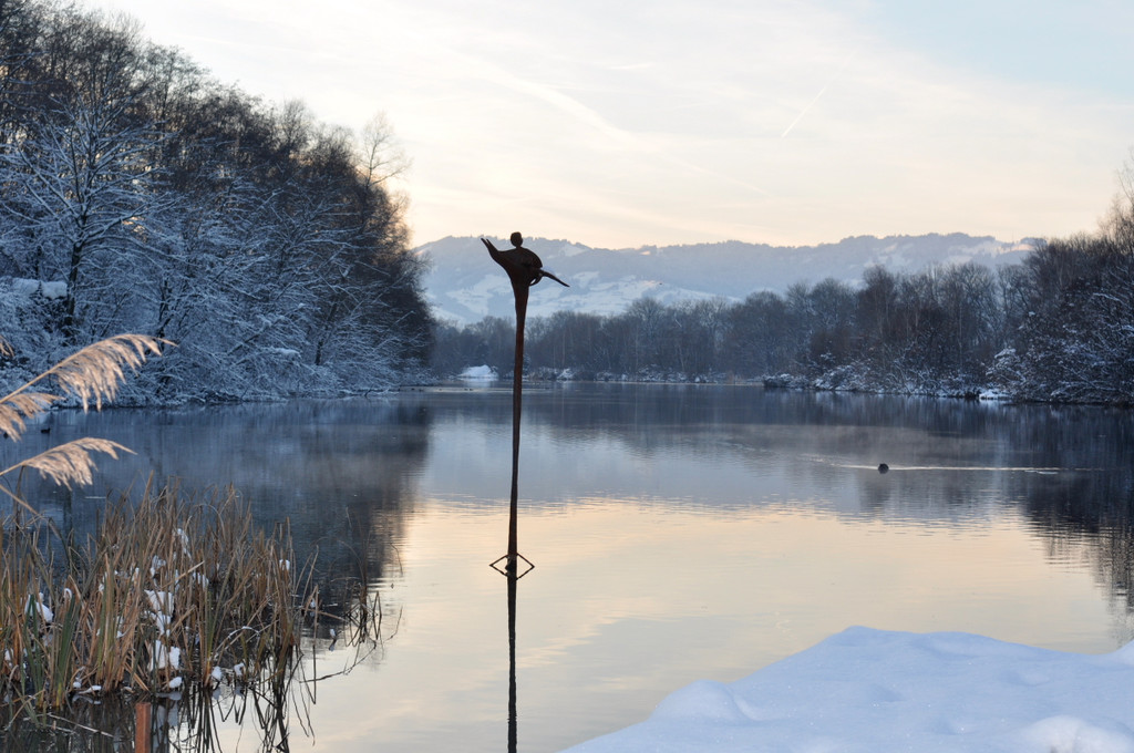 Winterbilder Altach 091.JPG