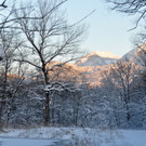 Winterbilder Altach 098.JPG