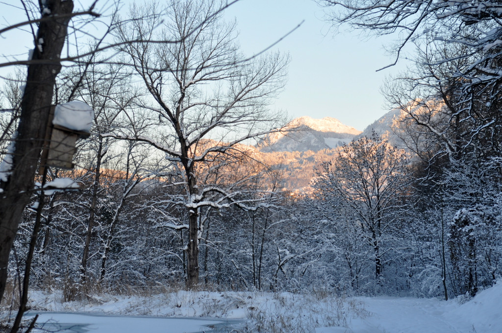Winterbilder Altach 098.JPG