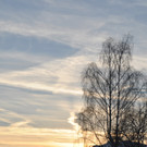 Winterbilder Altach 109.JPG