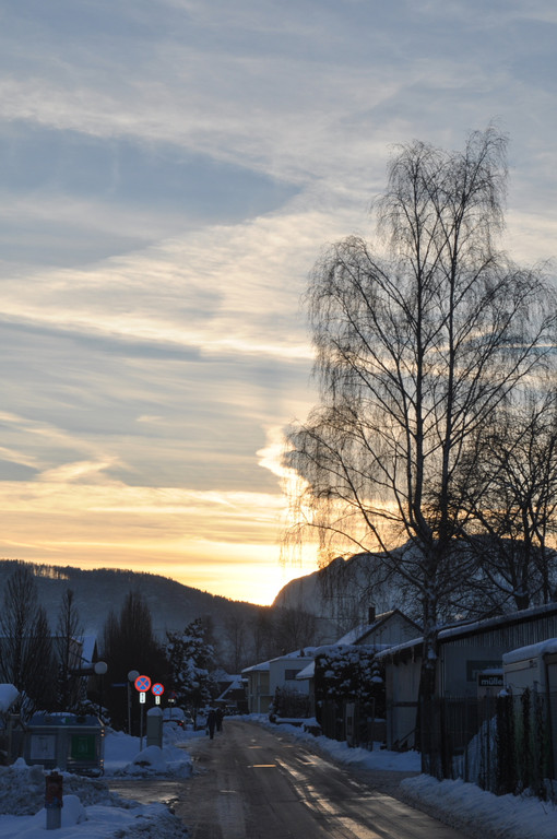 Winterbilder Altach 109.JPG