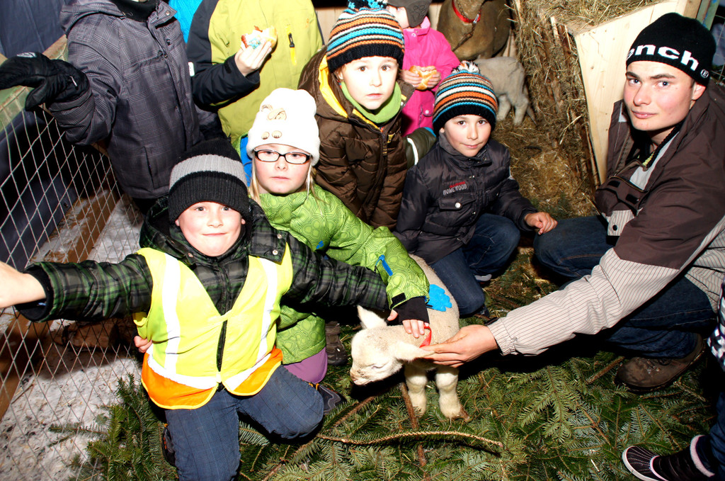 DSC00841_JPG-1355440319