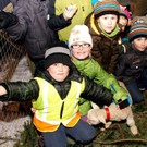 DSC00842_JPG-1355440328