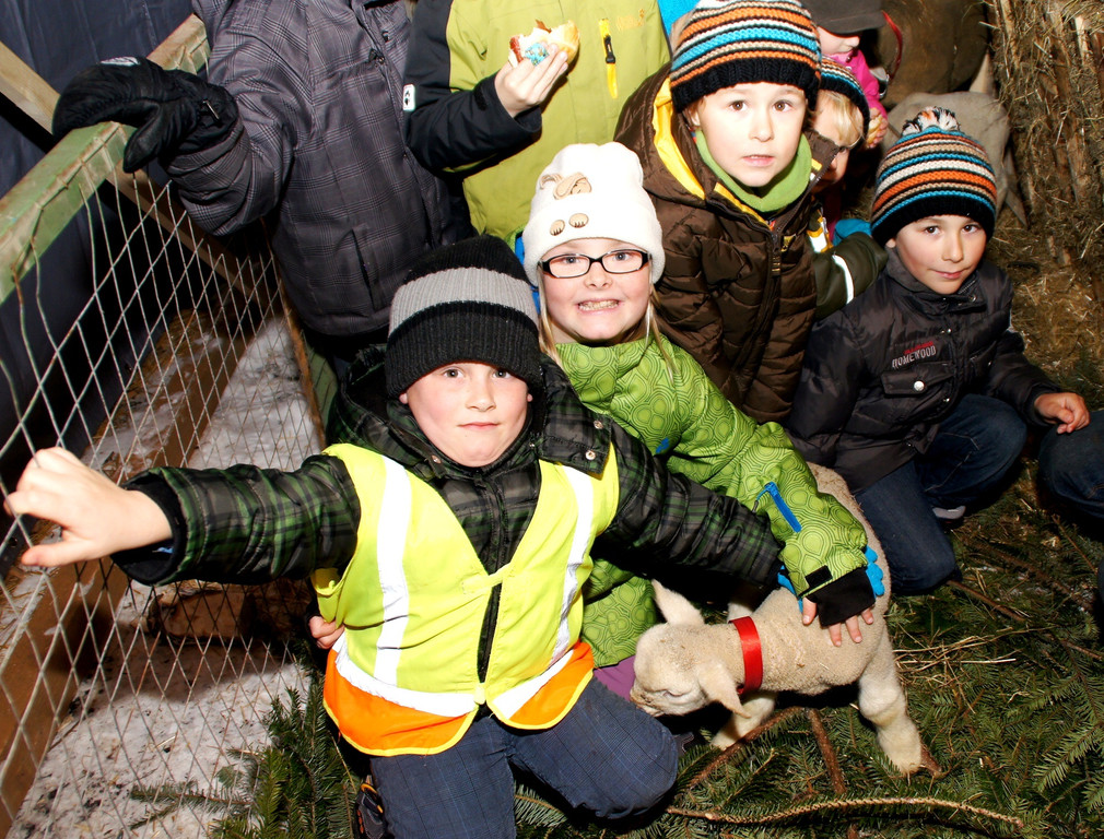 DSC00842_JPG-1355440328