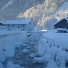 DSC05518.JPG