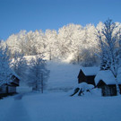 DSC05520.JPG