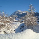 DSC05523.JPG