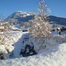 DSC05524.JPG