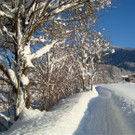 DSC05528.JPG