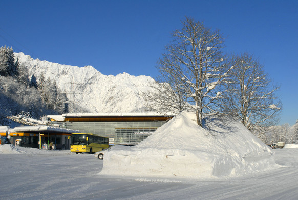 _c_ Gerhard Scopoli - Schnee Latschau - 014.jpg