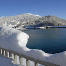 _c_ Gerhard Scopoli - Schnee Latschau - 020.jpg