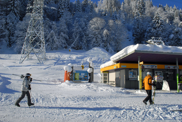_c_ Gerhard Scopoli - Schnee Latschau - 055.jpg