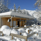 _c_ Gerhard Scopoli - Schnee Latschau - 091_bearbeitet-.jpg