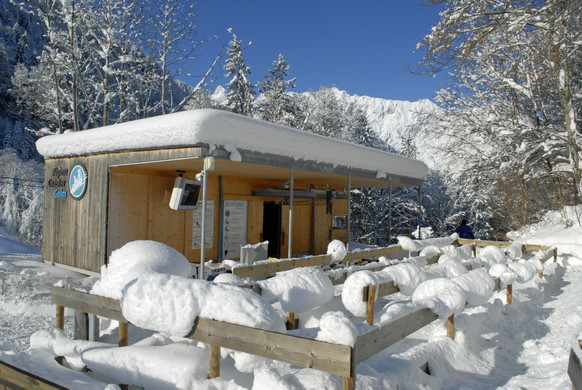 _c_ Gerhard Scopoli - Schnee Latschau - 091_bearbeitet-.jpg