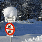 _c_ Gerhard Scopoli - Schnee Latschau - 116.jpg