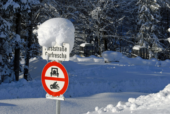 _c_ Gerhard Scopoli - Schnee Latschau - 116.jpg