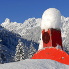 _c_ Gerhard Scopoli - Schnee Latschau - 127.jpg