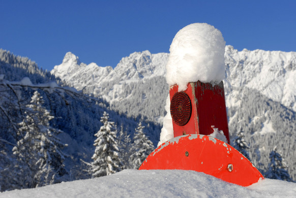 _c_ Gerhard Scopoli - Schnee Latschau - 127.jpg