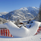 _c_ Gerhard Scopoli - Schnee Latschau - 166.jpg