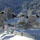 _c_ Gerhard Scopoli - Schnee Latschau - 168.jpg