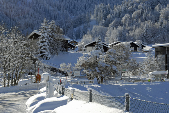 _c_ Gerhard Scopoli - Schnee Latschau - 168.jpg