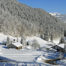 _c_ Gerhard Scopoli - Schnee Latschau - 169.jpg