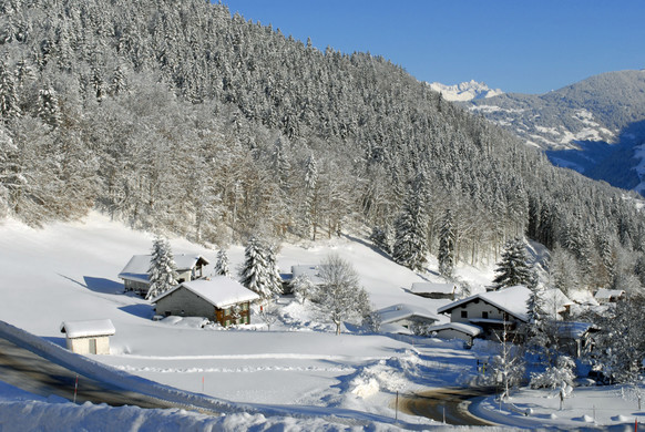 _c_ Gerhard Scopoli - Schnee Latschau - 169.jpg