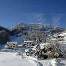 _c_ Gerhard Scopoli - Schnee Tschagguns -Latschau - 173.jpg