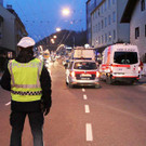 linzerbs-an.jpg