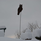 Winter in 