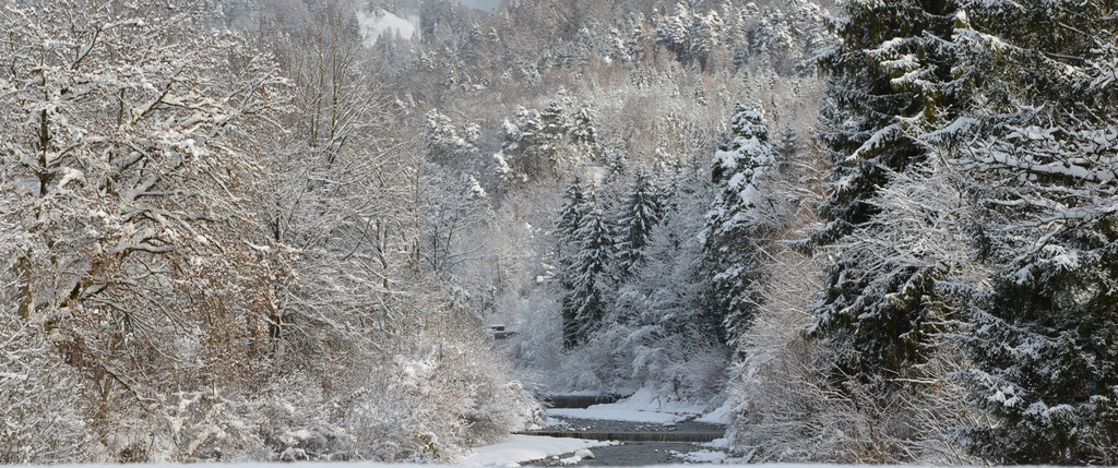 wi8_jpg-1355573290