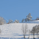 wi3_jpg-1355574089