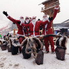 IBD0313-20121215.jpg