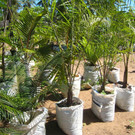 KOE_Hilfsprojekt Kenia 15_jpg-1355590595