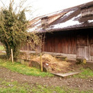 Viehstall-Misthaufenseite-2012.jpg