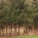 __uelewald-am-Viehstall-2012.jpg