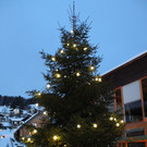 IMG_7541_jpg-1355598529