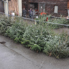 Christbaumverkauf