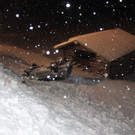 151212vub164at04001aktivnews10.JPG