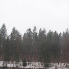 b43dd9a3f33505126ed6d81d1e8c5960_640.jpg
