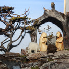 Krippen H__chst 14-12-2012 155_jpg-1355653793