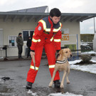 Rettungshundebrigade