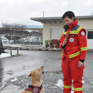 Rettungshunde20.JPG