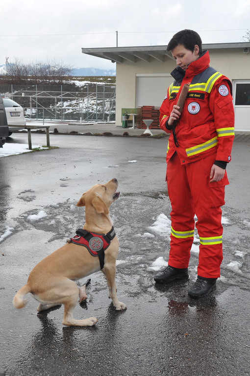 Rettungshunde20.JPG