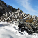 DSCN8653_JPG-1355668666