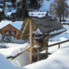 DSCN8667_JPG-1355668979