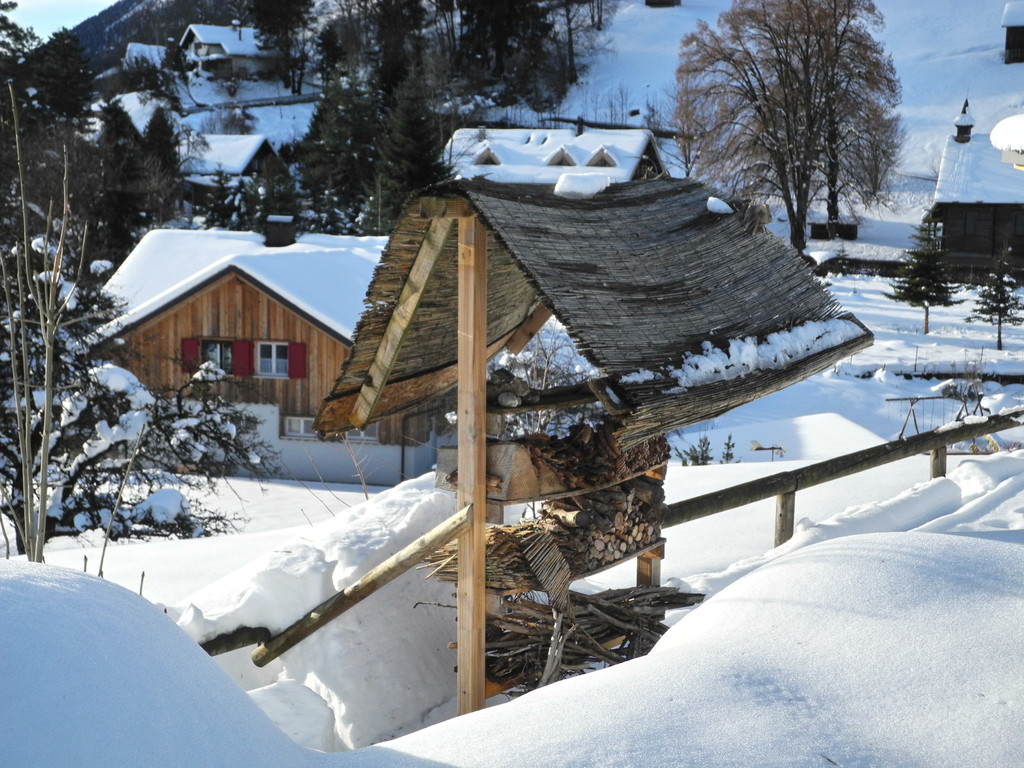 DSCN8667_JPG-1355668979