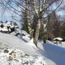 DSCN8671_JPG-1355669043